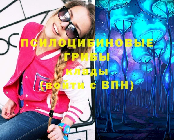 ПСИЛОЦИБИНОВЫЕ ГРИБЫ Волоколамск