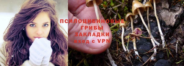 ПСИЛОЦИБИНОВЫЕ ГРИБЫ Волоколамск