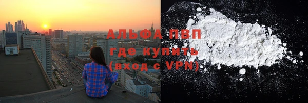 ПСИЛОЦИБИНОВЫЕ ГРИБЫ Волоколамск
