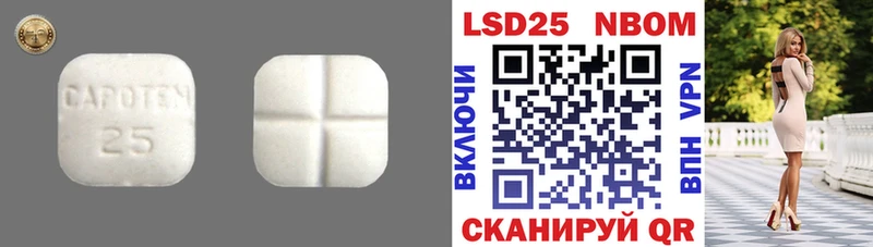 дарнет шоп  Заозёрск  LSD-25 экстази ecstasy 